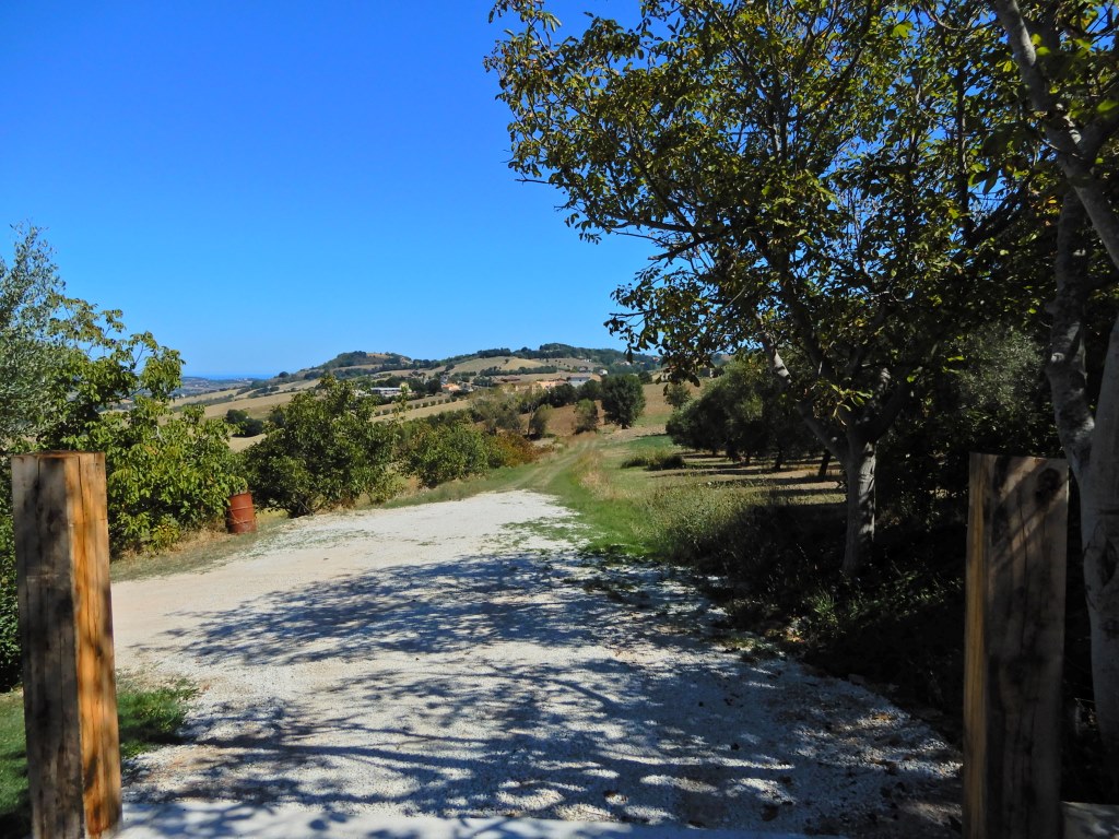 Houses & Hills - Villa La Mimosa